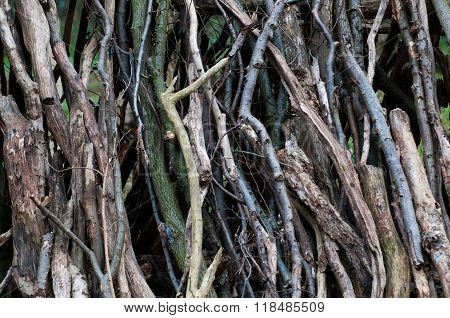 arrangement of logs