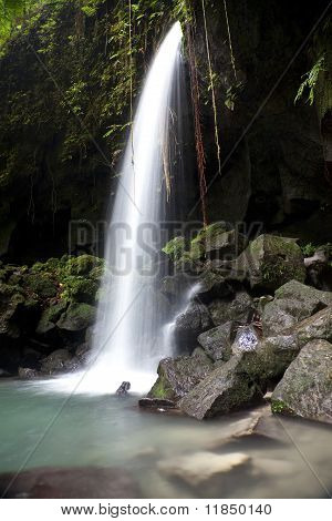 Emerald Pool, Dominica--Seitenansicht