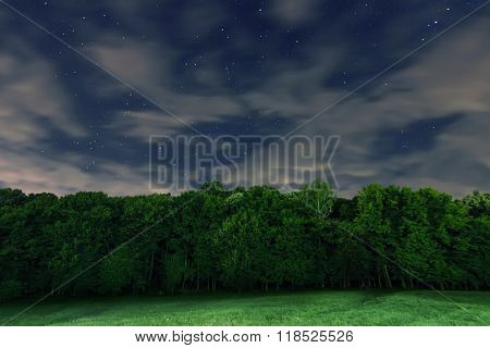 Starry Night, White clouds, many stars, green forest. Beautiful night