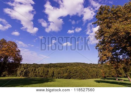 Colorful autumn Landscape. Trees Starting to Change Color in Early Autumn