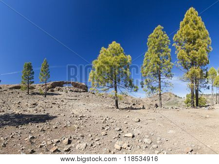 Gran Canaria, Las Cumbres - The Highest Areas Of The Island