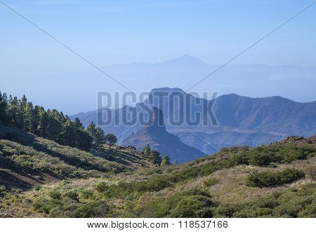 Gran Canaria, Caldera De Tejeda In January