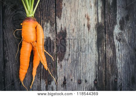 Ugly Carrot On Barn Wood