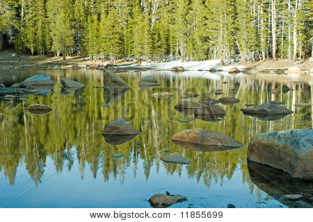 Alpine See und Wald im Yosemite-Nationalpark