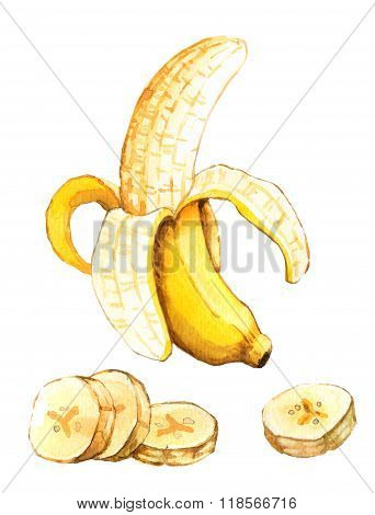 Hand drawn watercolor illustration of banana