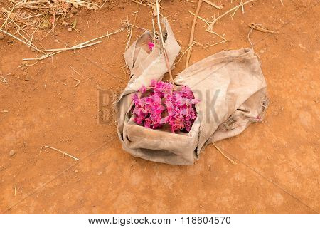 Dry Ground With Bunch Of Flowers
