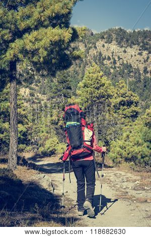 Yount femela trekker on her way through mountain forest.