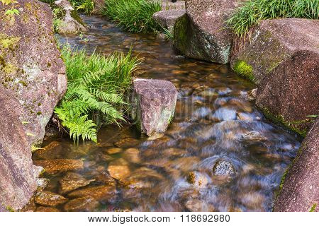 Beautiful Waterfalls In Forest.