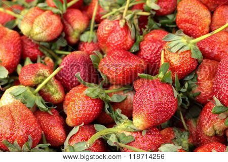 Fresh Ripe Strawberry On Background Texture.