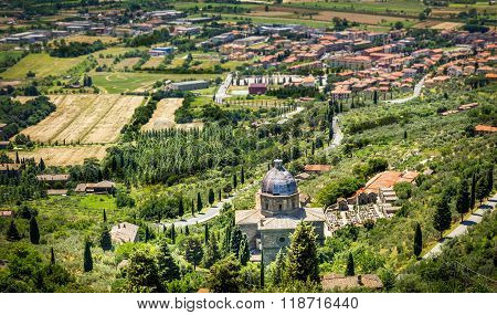 Green Vineyards Of Tuscany