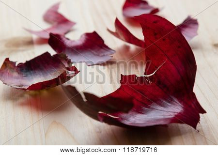 Red Onionskin On Table