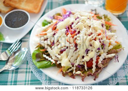 Helianthus Tuberosus Salad Healthy Breakfast For Weight Loss.