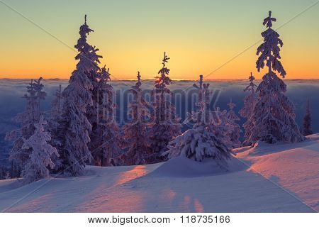 Fantastic orange evening landscape glowing by sunlight. Dramatic wintry scene with snowy trees. Kukul ridge, Carpathians, Ukraine, Europe. Merry Christmas!