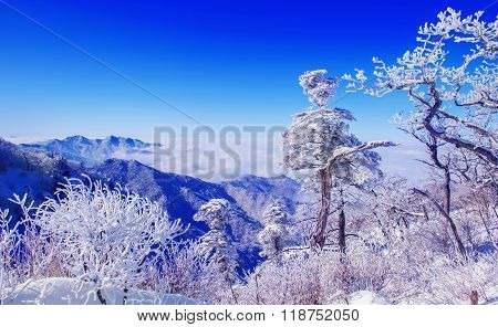 Landscape In Winter,deogyusan In Korea
