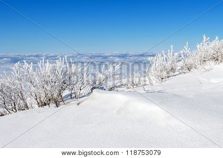 Deogyusan Mountains Is Covered By Snow And Morning Fog In Winter,south Korea.