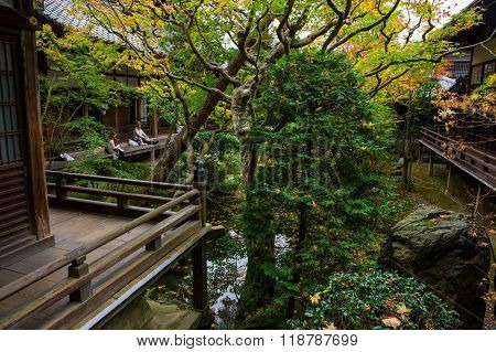 People At Zen Garden Inside Eikando, Kyoto