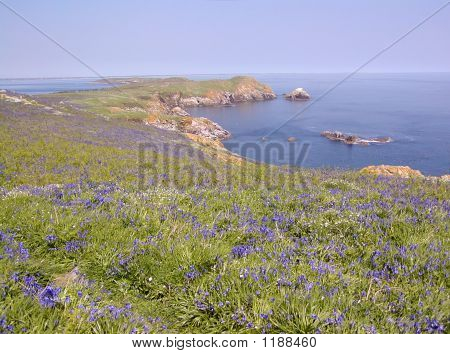 Wielki Saltee Island
