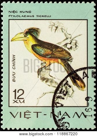 Bird Anorrhinus Tickelli On Postage Stamp