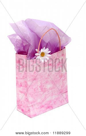 Shopping bag isolata on white background