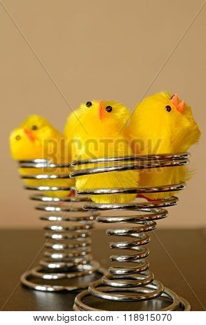 Cute Chicks