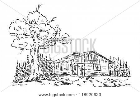 vector -  Old hut in the mountains in nature
