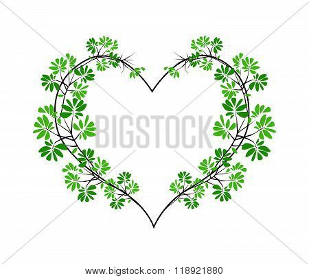Fresh Black Afara Leaves In Heart Shape
