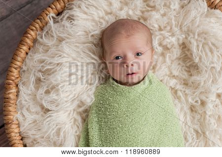 Alert Newborn Baby Boy In A Basket