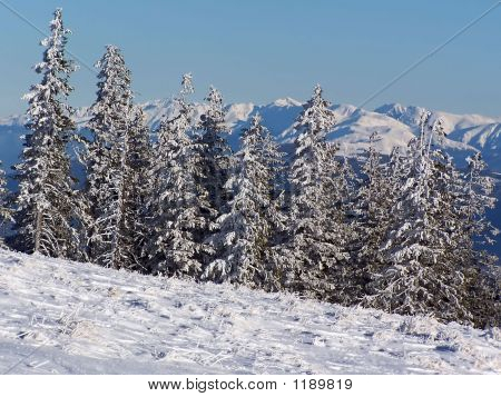 Winter Berglandschaft