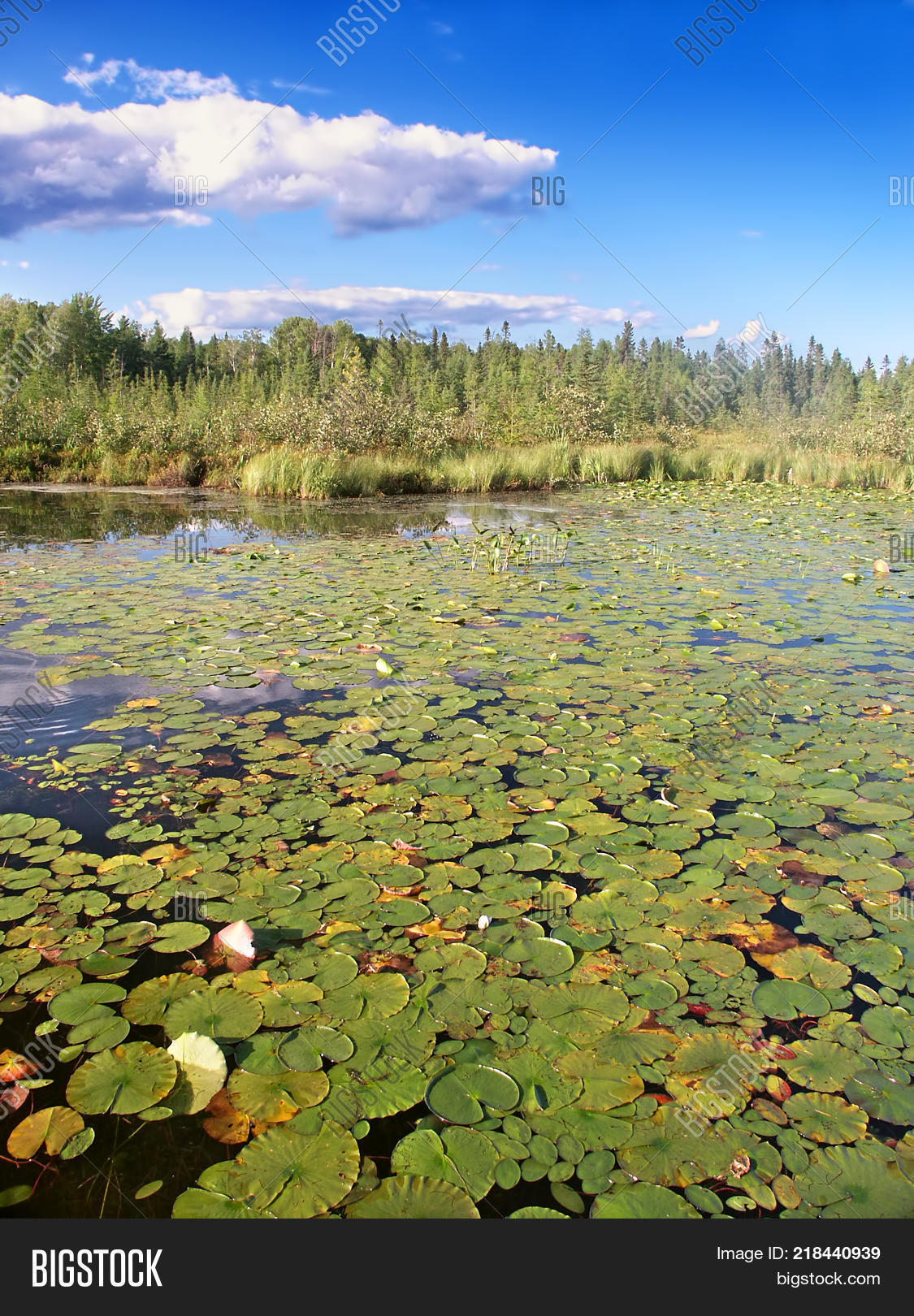Little Bearskin Lake Image & Photo (Free Trial) Bigstock