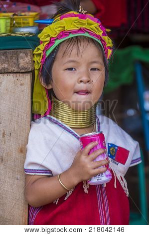 Kayan State Myanmar - Sep 09 : Portrait Of Kayan Tribe Girl In Kayan State Myanmar On September 09 2