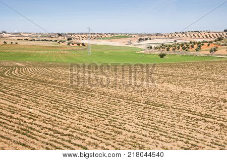 Agricultural mosaic landscape in Toledo Province, Spain