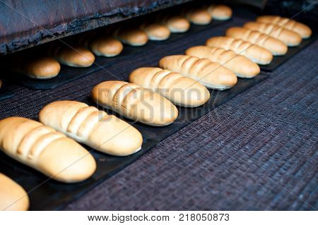 bread making factory fresh industry plant prepare