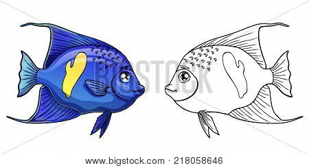 Cute sea aquarium blue arabian angel fish colorful and black contour line on a white background. Fish marine animal. Isolated cartoon vector illustration, page coloring book.