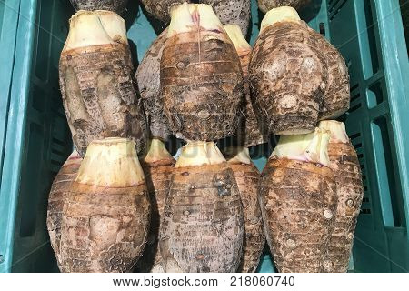 Many taro root in green container for cooking