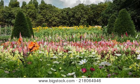 Flower Bed With Different Colors In Summer