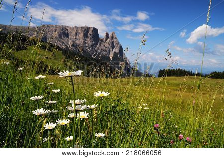 Beautiful landscape of Sciliar Group in the Dolomites as seen from Alpe di Siusi, Italy.