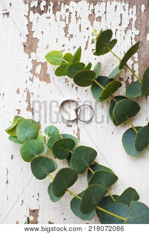 wedding rings on a white old table with a sprig of eucalyptus