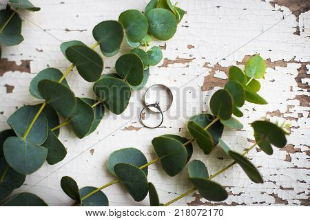 wedding rings on a white table with old eucalyptus twig, close-up