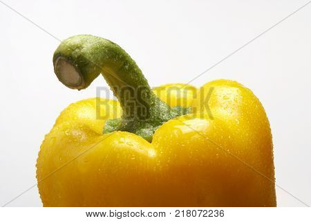 FRESH YELLOW PEPPE COVERED IN WATER DROPLETS ON WHITE BACKGROUND