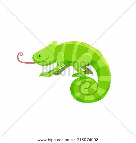 Cartoon trendy flat design chamaleon with big pink tongue. Tropical african animal. Vector illustration sticker icon.