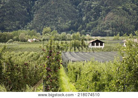 View Landscape Of Apls Mountain And Vernagt-stausee Lake In Vernago Village At Foot Of The Hill Of O