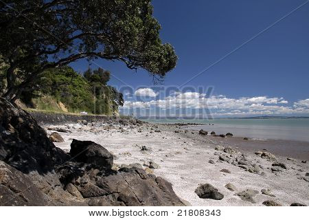 Linia wybrzeża w pobliżu Thames, Coromandel