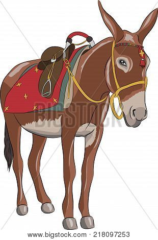 A brown donkey for walking with a saddle, riding and stirrups in a realistic style. Isolated on white background.