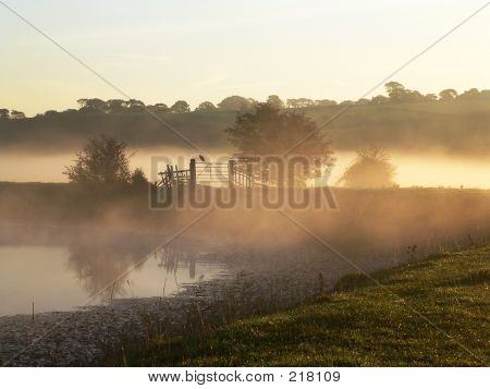 Heron recorta en la niebla del amanecer