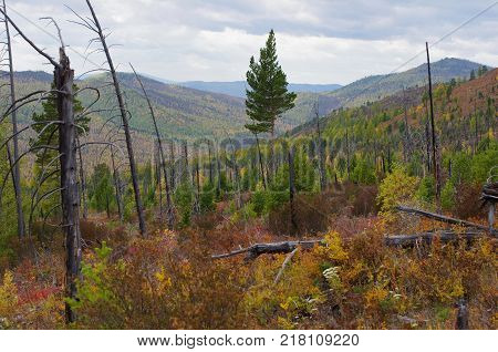 Kurtushibinskiy range of West Sayan Range, Autumn