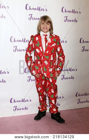 LOS ANGELES - DEC 10:  Mason McNulty at the Chandler's Friends Toy Drive & Wrapping Party  at Los Angeles Ballet Academy on December 10, 2017 in Los Angeles, CA