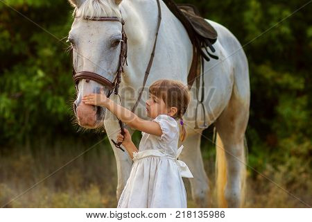 the little girl irons a white horse on a muzzle