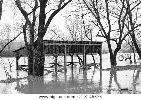 The river after the downpours came out of the banks. Flooding of river bank, trees after flood