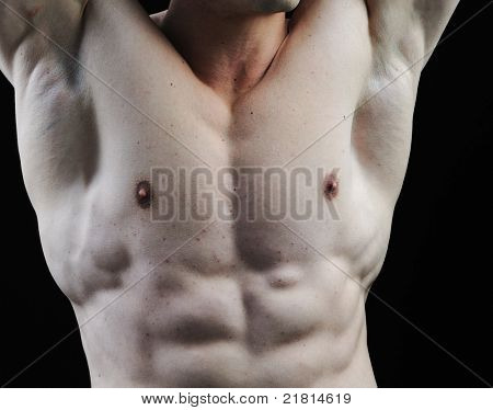 완벽 한 남성의 몸-멋진 보디 빌딩 포즈