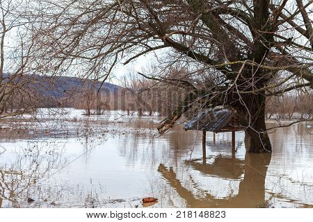 The river after the downpours came out of the banks. Flooding of river bank, trees after flood